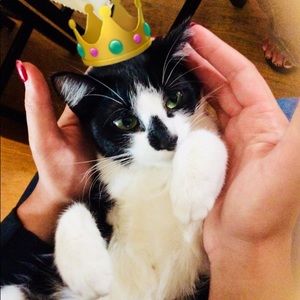 Meet your Posher, Carissa